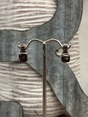 Abalone Sterling Silver Frame Iridescent Stud Earrings